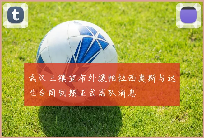 武汉三镇宣布外援帕拉西奥斯与达兰合同到期正式离队消息